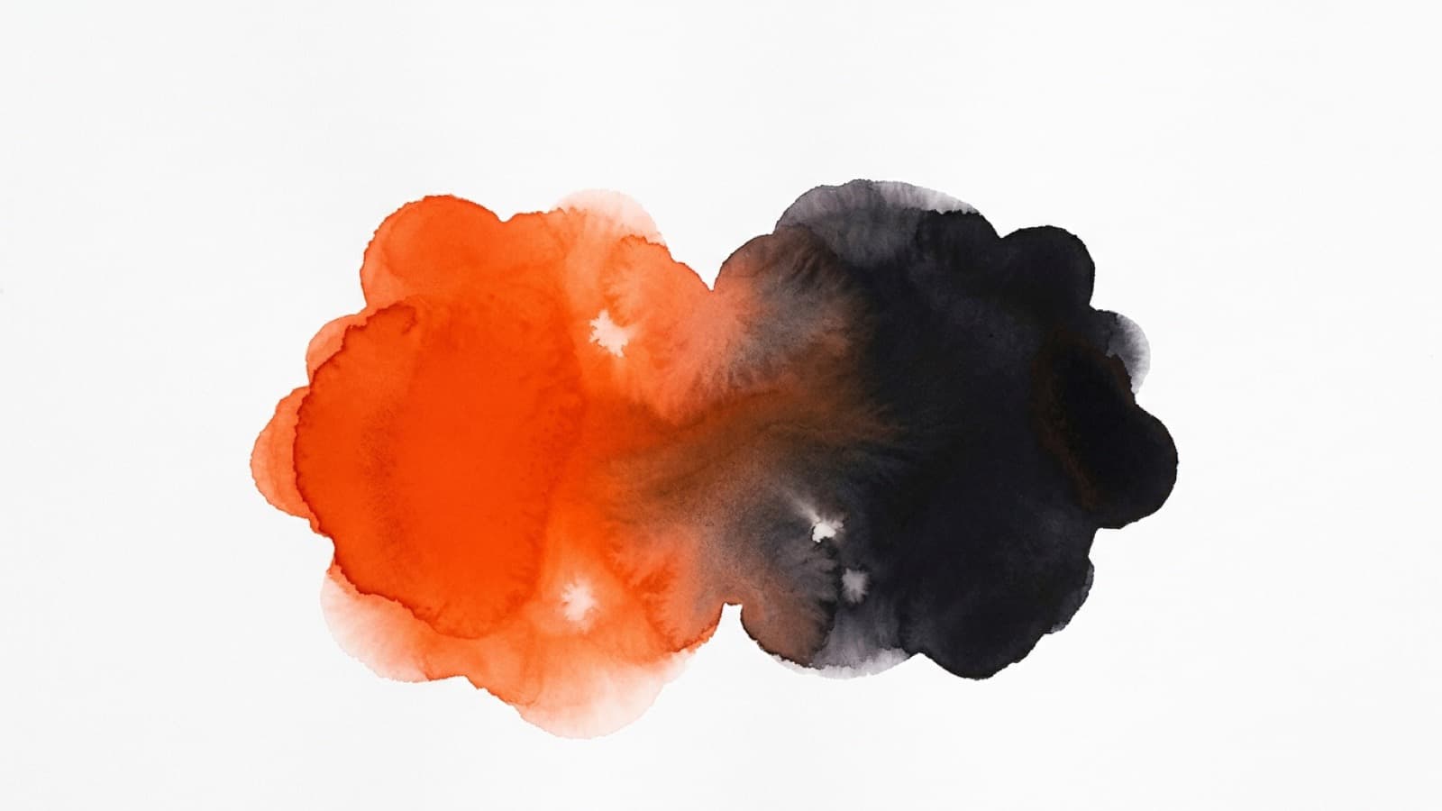 Best ai influencer platforms kbeauty us 2026 - Storika