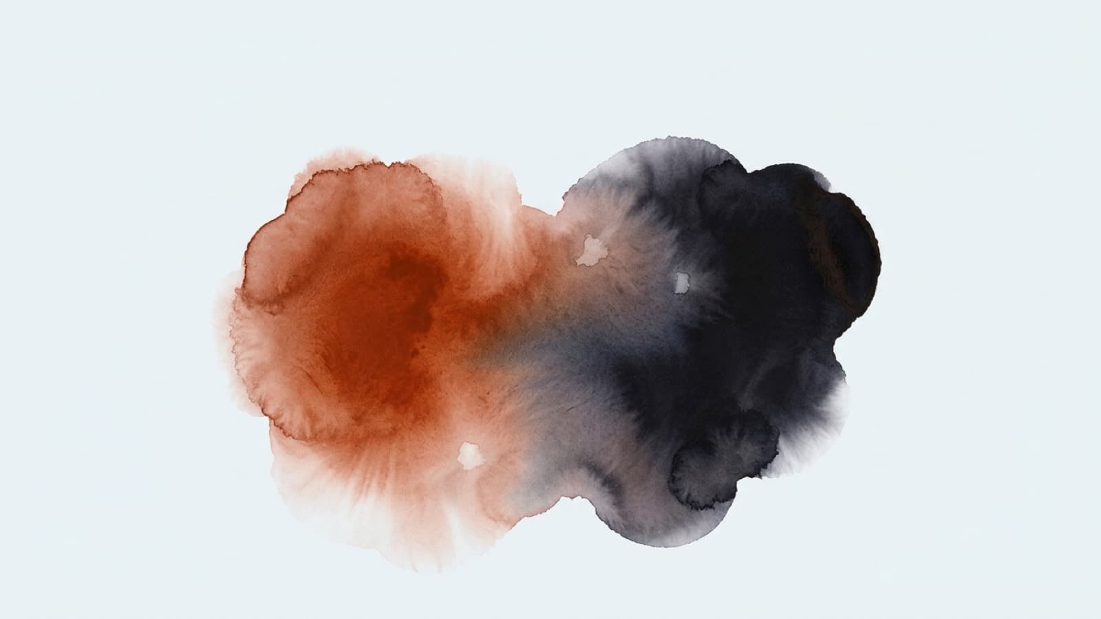 IZEA vs CreatorIQ: Verified Public Facts - Storika