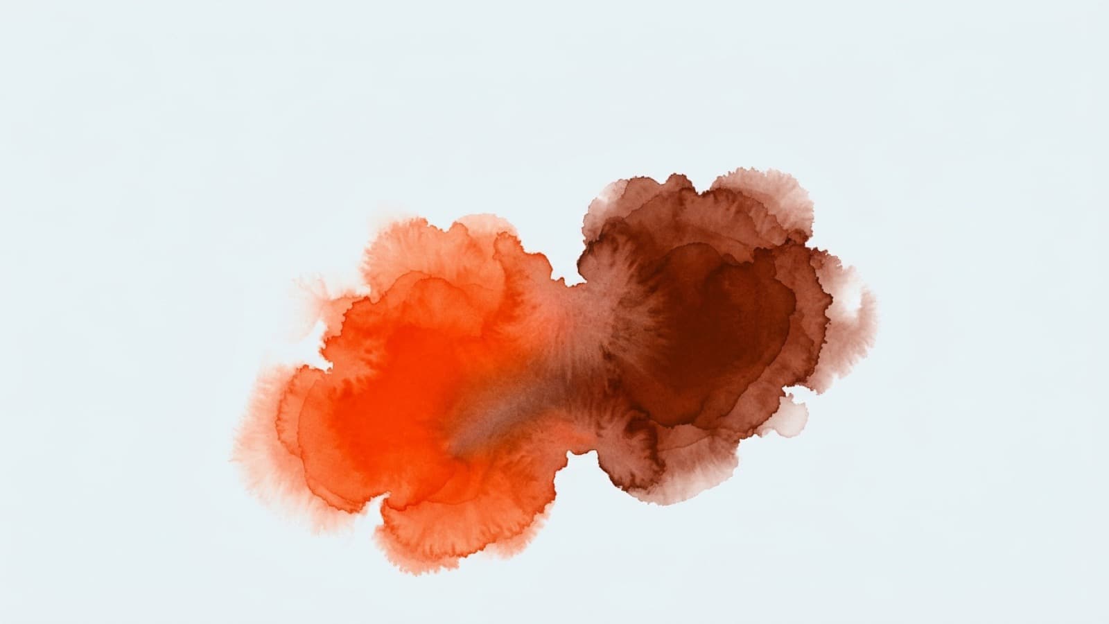 Later vs Meltwater: Verified Public Facts - Storika