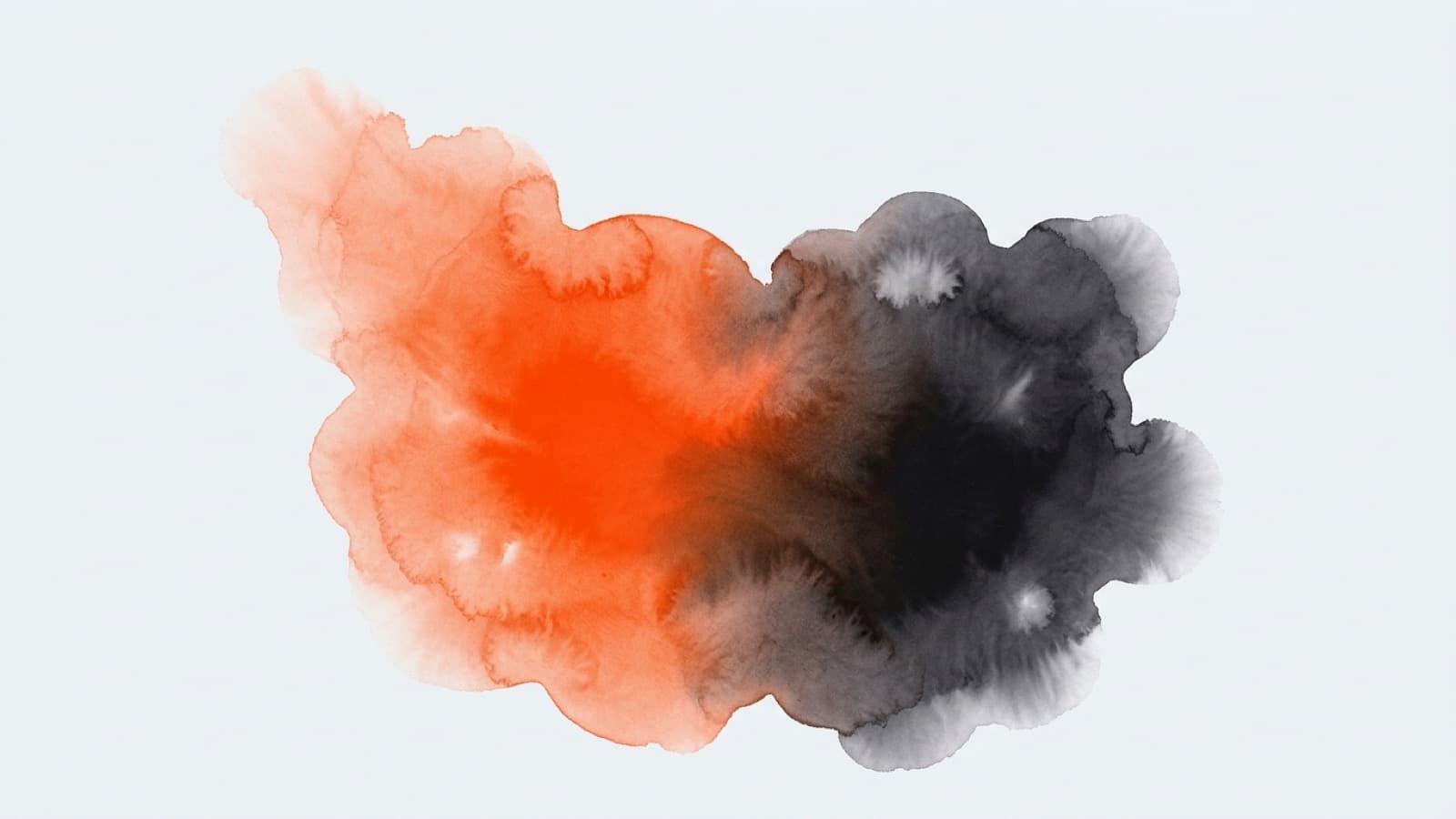 Later vs Traackr: Verified Public Facts - Storika
