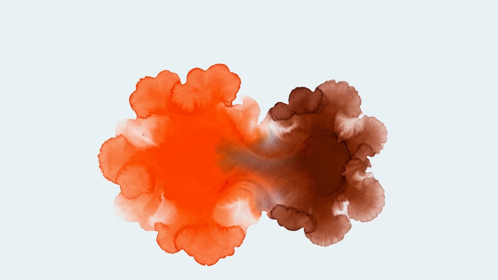 Meltwater vs CreatorIQ: Verified Public Facts - Storika