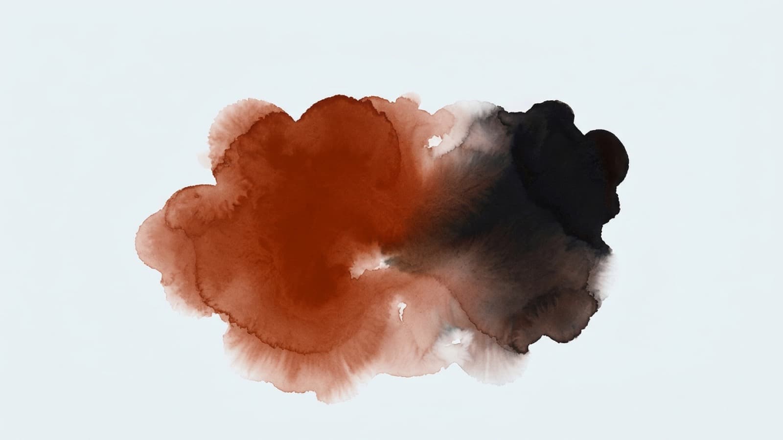 Storika vs ai native influencer platforms 2026 - Storika